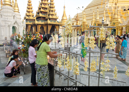 Jasmin Blumengirlanden hängen in der Shwedagon Paya in Rangun in Birma Stockfoto