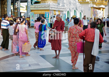 Burmesische Mönch sammelt Almosen in der Shwedagon Paya in Rangoon, Birma Stockfoto