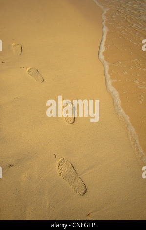 Birkenstock Sandale Fußabdrücke am Sandstrand Stockfoto