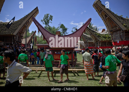 In Tana Toraja ist der Körper in einem großen und schweren Sarg, Rantepao, Sulawesi, Indonesien, Pazifik, Süd-Asien durchgeführt. Stockfoto