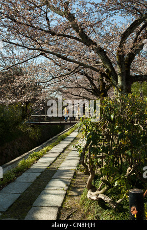 Der Philosoph Spaziergang Tetsugaku-Nein-Michi, ist buchstäblich Weg für Philosophie ein Fußgängerweg, der eine Kirschbaum gefütterte ca folgt Stockfoto