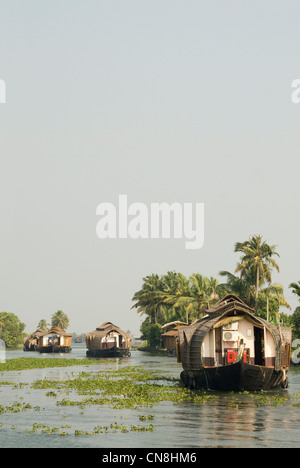 Reihe von Hausbooten Cruisen durch Alleppey (Alappuzha) Backwaters, Kerala, Indien Stockfoto