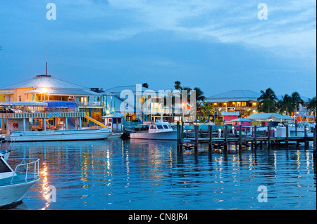 Bahamas, Grand Bahama Island, Freeport, Port Lucaya, Marina in der Abenddämmerung Stockfoto