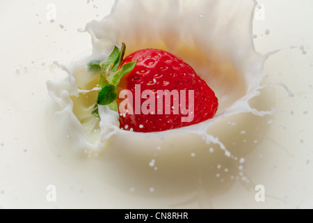 Spritzer Milch und frischen Erdbeeren Stockfoto
