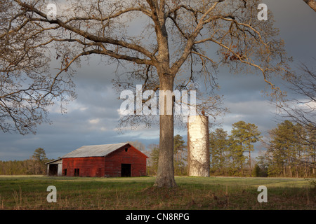 Einem verlassenen und verfallenen roten Scheune und Silo in einem grünen Feld von Virginia Stockfoto