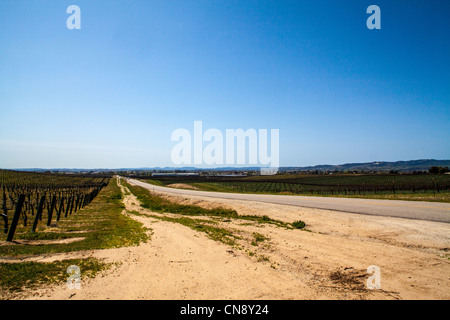 Ein breites Schuss von Paso Robles Tal Weinbau Grund Stockfoto