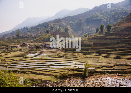 Terrassierte Reisfelder in Lao Chai Dorf in der Nähe von Sapa-Stadt, Vietnam Stockfoto