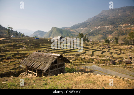 Terrassierte Reisfelder, Lao Chai Dorf in der Nähe von Sapa-Stadt, Vietnam Stockfoto