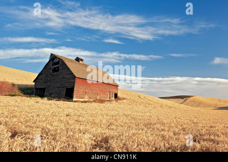 Alte Scheune steht unter Weizenfeldern für Sommer-Ernte in eastern Washington Whitman County und The Palouse Region bereit. Stockfoto