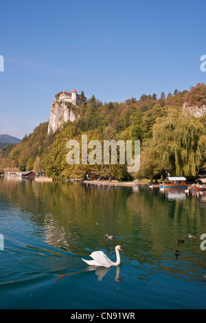 Slowenien, Region Gorenjska, Bled, das Schlossmuseum Stockfoto