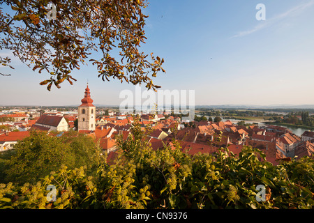 Slowenien, untere Steiermark, Ptuj, Stadt an den Ufern des Flusses Drau, der Turm der Stadt Stockfoto