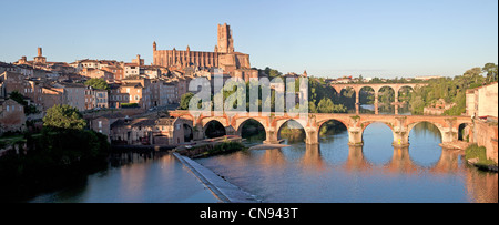 Frankreich, Tarn, Albi, der Bischofsstadt, aufgeführt als Weltkulturerbe der UNESCO, die Kathedrale Sainte Cecile die alte Brücke und die Stockfoto