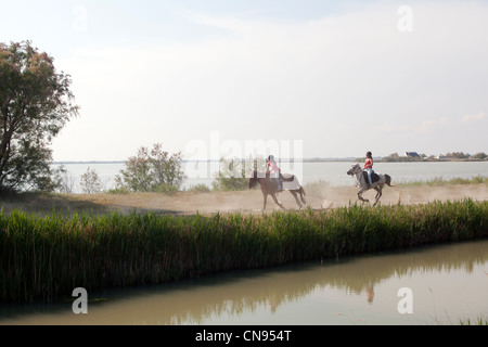 Frankreich, Bouches-du-Rhône, Parc Naturel Regional de Camargue (natürlichen regionalen Park der Camargue), aufgeführt als Reserve de Stockfoto