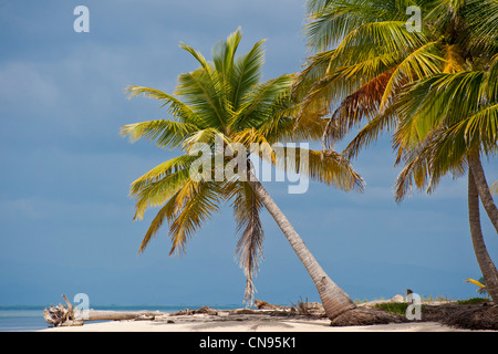 Panama, San Blas Archipel, autonome Gebiet Kuna Yala, Ailigandi Island, einer der 378 Inseln Stockfoto