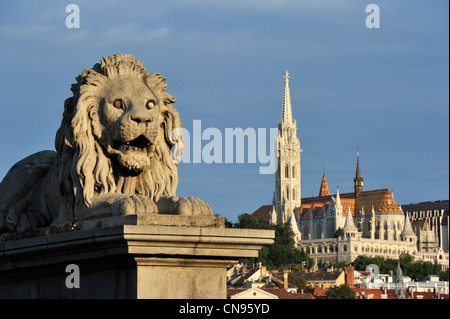 Ungarn, Budapest, aufgeführt als Weltkulturerbe der UNESCO, Kettenbrücke (Szechenyi Lánchíd), der St. Matthias-Kirche und die Stockfoto