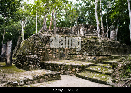 Mexiko, Yucatan Staates, Maya-Ausgrabungsstätte von Calakmul sagte Kopf der Schlange, als Weltkulturerbe der UNESCO aufgeführt und Stockfoto