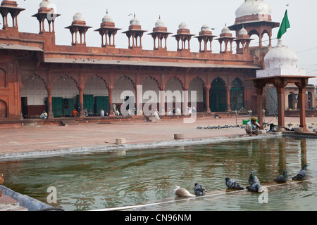 Agra, Indien. Innenhof der Jama Masjid, die Freitag Moschee. Chhatris Linie das Dach. Pool für Waschungen. Stockfoto