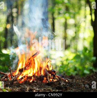 Lagerfeuer im Wald. Stockfoto