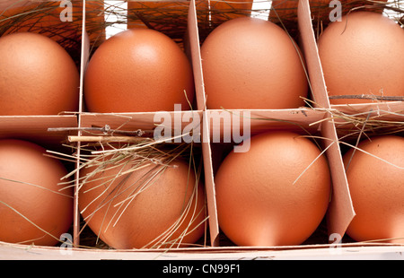 Eiern mit einem Strohhalm in einem hölzernen Korb Stockfoto