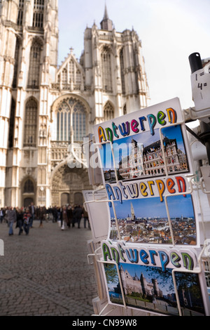 Ansichtskarten von Antwerpen / Antwerpen, Belgien. Liebfrauenkathedrale in Antwerpen, ist im Hintergrund. Belgien. Stockfoto