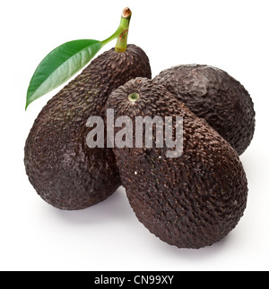 Avocados mit Blättern auf weißem Hintergrund Stockfoto