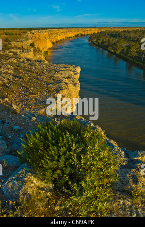 Australien, South Australia, Murray River, in der Nähe von Big Bend Cliff Stockfoto