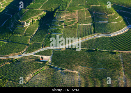 Frankreich, Drome, Tain l ' Hermitage, Hermitage AOC Reben (Luftbild) Stockfoto