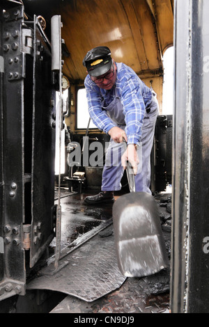 Lokführer Anheizen der Kohle auf Fußplatte der erhaltene Dampflokomotive, Severn Valley Railway. Stockfoto