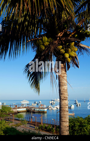 Ecuador, Galapagos-Inseln, San Cristobal Insel, am Hafen Stockfoto