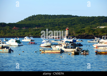 Ecuador, Galapagos-Inseln, San Cristobal Insel, am Hafen Stockfoto