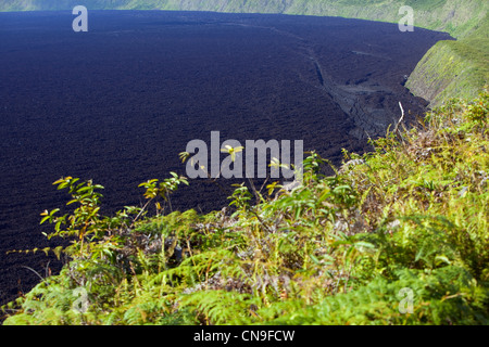 Ecuador, Galapagos-Inseln, Weltkulturerbe von UNESCO, Isabela Island, den Krater des Vulkans Sierra Negra Stockfoto