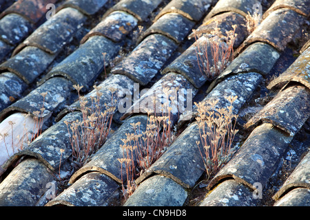 Frankreich, Vaucluse, Ansouis, close-up auf Fliesen Stockfoto