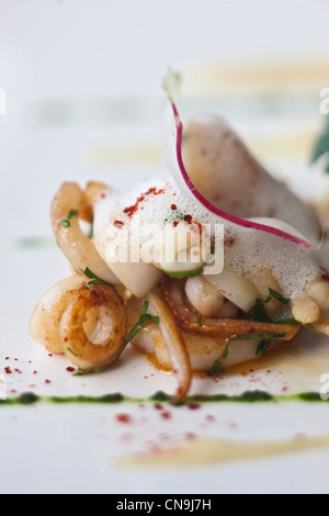 Frankreich, Alpes Maritimes, Nizza, Tintenfisch Bretter Espelette Pfeffer, Knoblauch und süß-Gnocchi-Gratin mit Parmesan Rezept Kartoffelpüree Stockfoto