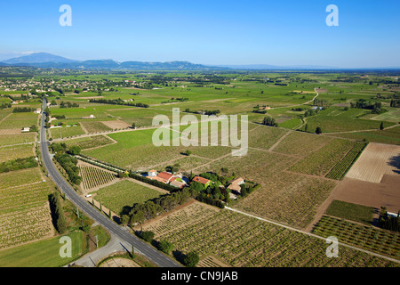 Frankreich, Vaucluse, Ste Cecile Les Vignes, Domaine De La Grand'Ribe, Weinberge AOC Côtes du Rhône (Luftbild) Stockfoto