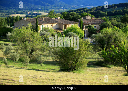 Frankreich, Vaucluse, Lubéron, Lourmarin, Auberge La Feniere Restaurant, Reine Sammut Stockfoto