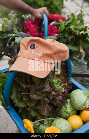Frankreich, Bouches du Rhone, Sambuc, Körbe mit Bio Gemüse Gärtner in das Restaurant Bio, die Chassagnette Stockfoto