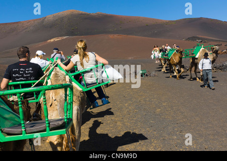 Lanzarote, Kanarische Inseln - Volcanoes-Nationalpark Timanfaya und Besucherzentrum Zone. Kameltrekking über Lavafelder. Stockfoto