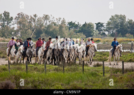 Frankreich, Bouches du Rhone, Parc Naturel Regional de Camargue (regionalen natürlichen Parks der Camargue), Saintes Maries De La Mer, Stockfoto