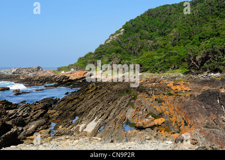 Otter Trail, Tsitsikamma National Park, Eastern Cape, Südafrika Stockfoto