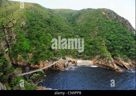 Hängebrücke in Storms River Mündung, Tsitsikamma National Park, Eastern Cape, Südafrika Stockfoto