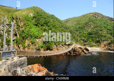 Hängebrücke in Storms River Mündung, Tsitsikamma National Park, Eastern Cape, Südafrika Stockfoto