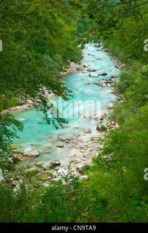Wunderschöne Türkis Bergfluss im grünen Wald-Frame. Soca (Isonzo), Julischen Alpen, Slowenien. Beliebtes touristisches Ausflugsziel. Stockfoto
