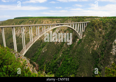 Bungee-Sprung an der Bloukrans Brücke über den Storms River, Tsitsikamma National Park, Eastern Cape, Südafrika Stockfoto