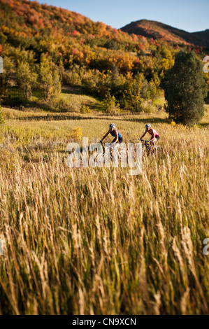 Mountainbike-Fahrer im Feld Stockfoto