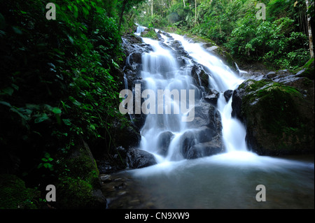 Brasilien, Bundesstaat Sao Paulo, São Francisco Xavier, Wasserfall Stockfoto