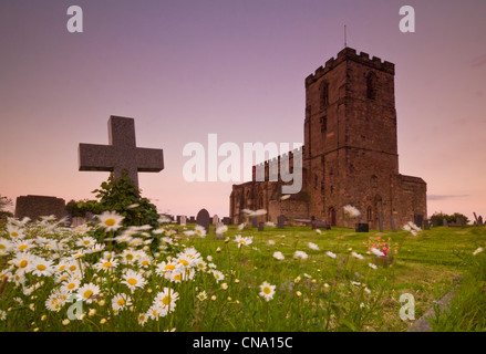 Breedon auf die Hügel Pfarrei Kirche Gänseblümchen weht um Kreuz Grabstein Leicestershire England UK GB EU Europa Stockfoto