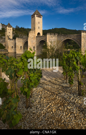 Frankreich, Lot, Cahors, das Lot-Tal und die Valentre Brücke und der Garten des Rausches, der die geheimen Gärten gehört Stockfoto