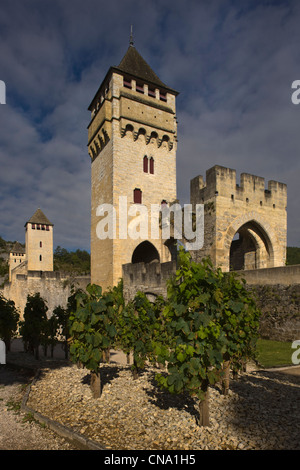 Frankreich, Lot, Cahors, das Lot-Tal und die Valentre Brücke und der Garten des Rausches, der die geheimen Gärten gehört Stockfoto