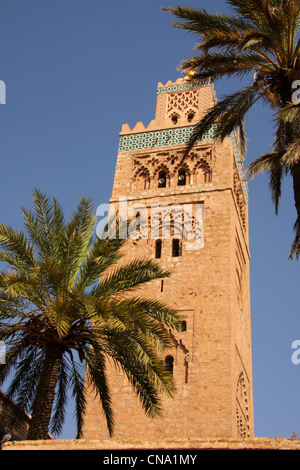 Minarett der Koutoubia-Moschee gesehen durch Palmen in Marrakesch, Marokko, Nordafrika Stockfoto