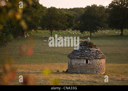 Frankreich, Lot, um Gramat, Caselle und Schafe weiden Stockfoto